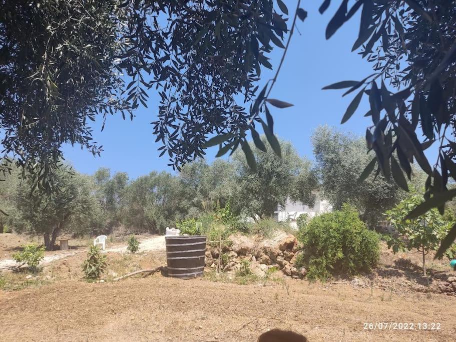 Neochorakion Corfu Oasis Studio מראה חיצוני תמונה