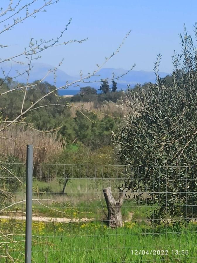 Neochorakion Corfu Oasis Studio מראה חיצוני תמונה