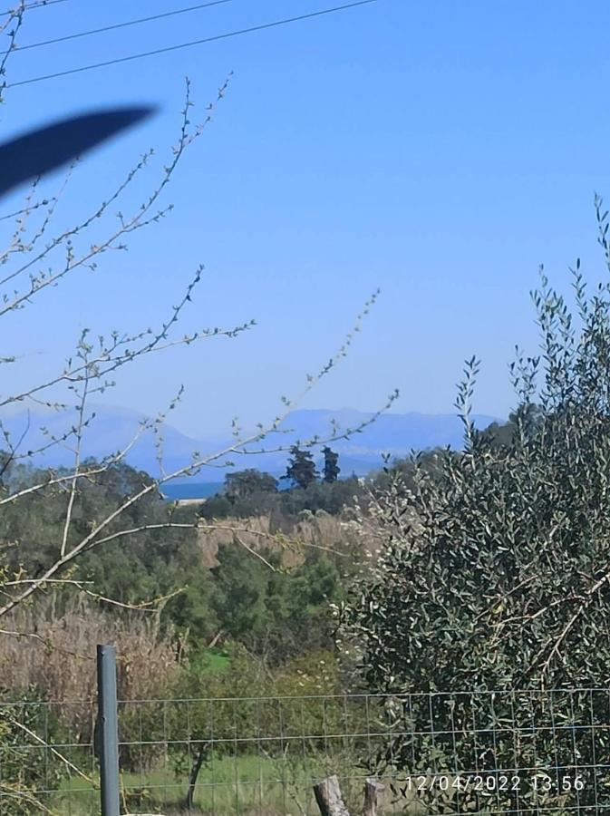 Neochorakion Corfu Oasis Studio מראה חיצוני תמונה