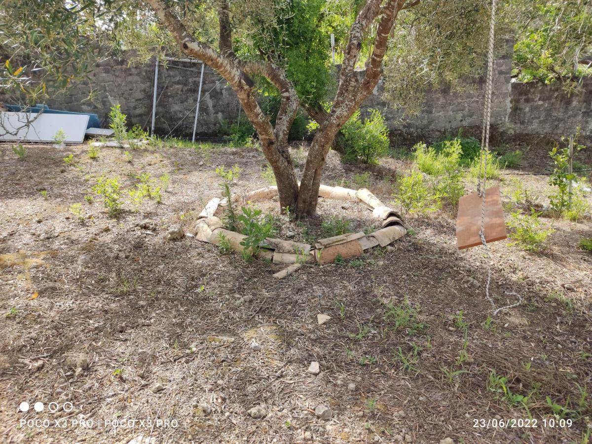 Neochorakion Corfu Oasis Studio מראה חיצוני תמונה