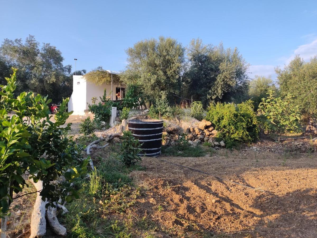 Neochorakion Corfu Oasis Studio מראה חיצוני תמונה