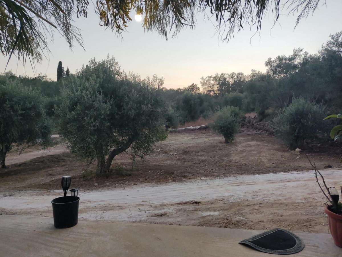 Neochorakion Corfu Oasis Studio מראה חיצוני תמונה
