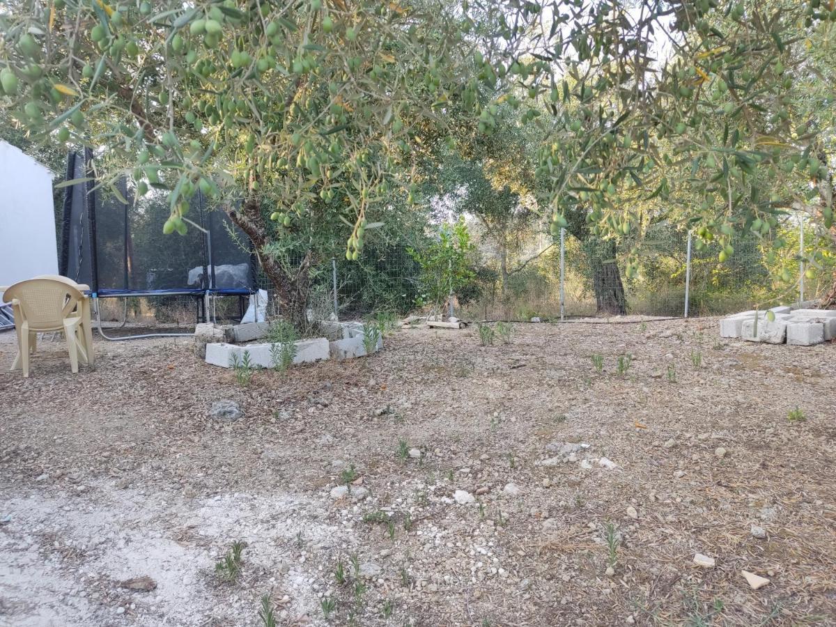 Neochorakion Corfu Oasis Studio מראה חיצוני תמונה